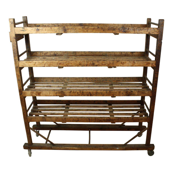 IMG_3761_grande.JPG?v=1473827507