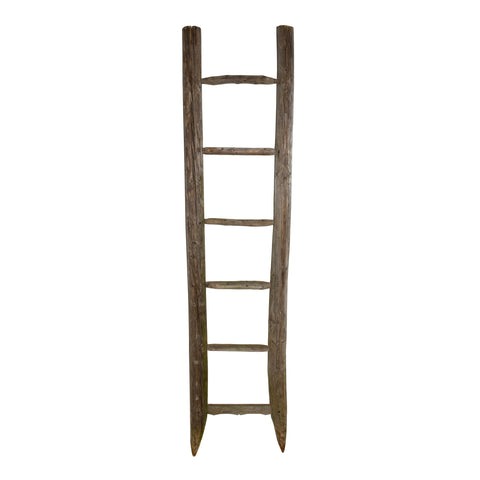 Fruit Ladder