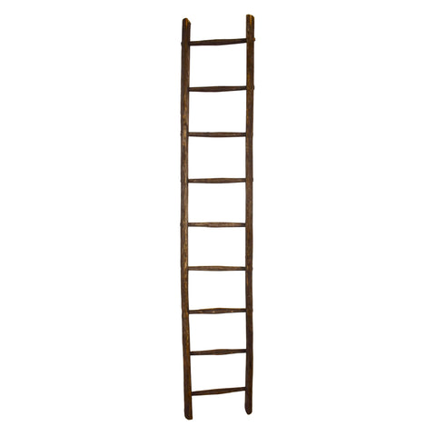Fruit Ladder