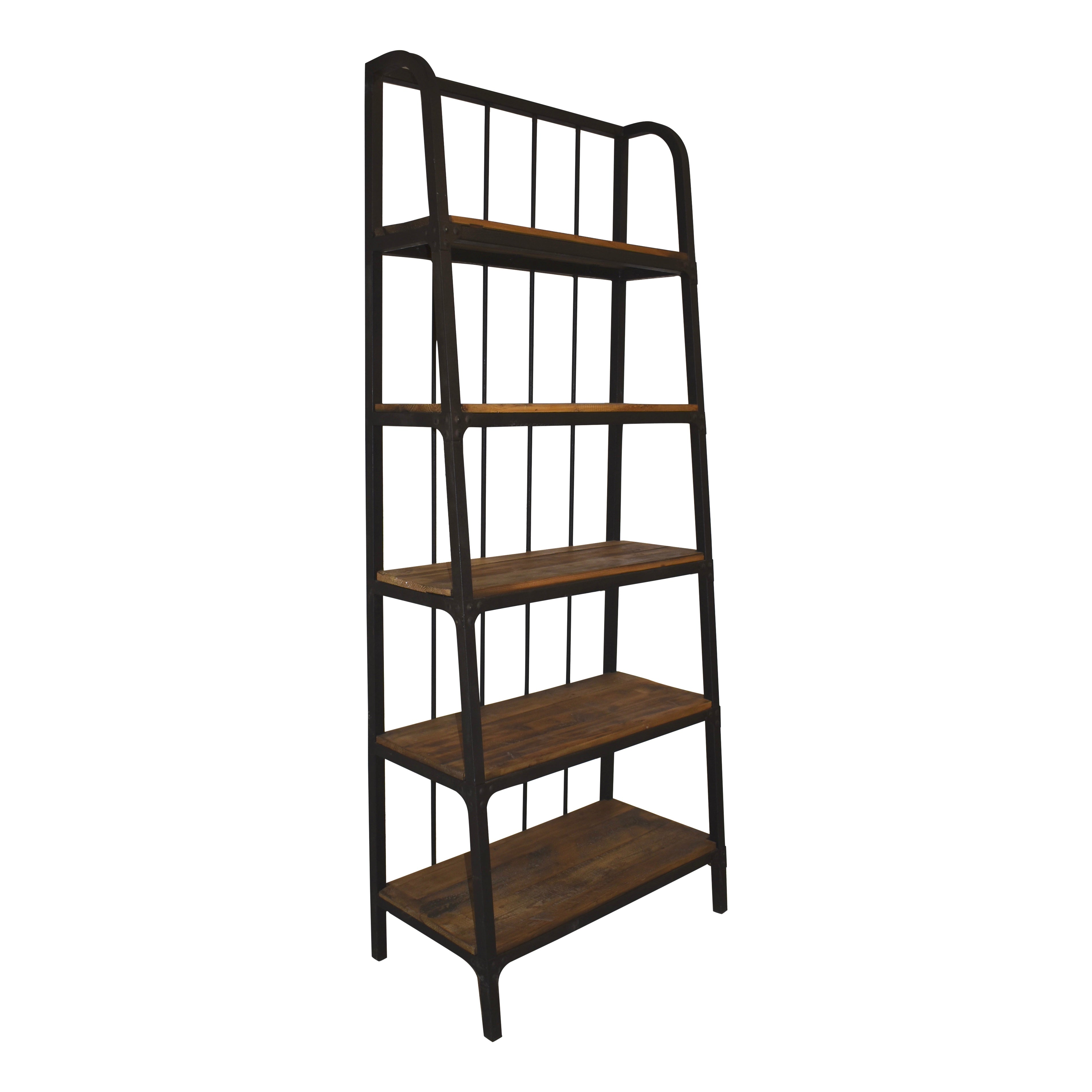 Industrial Ladder Style Bookshelf