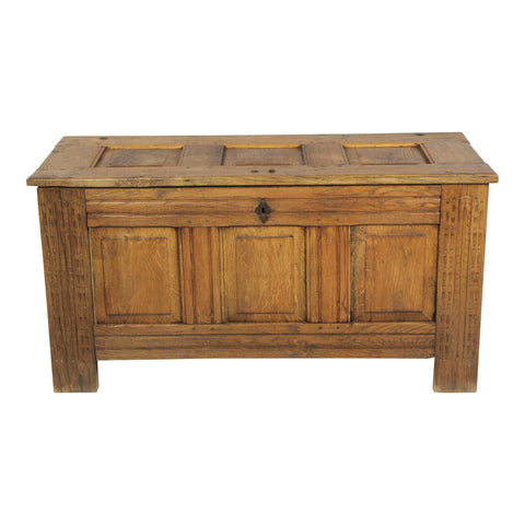 Dutch Oak  Trunk