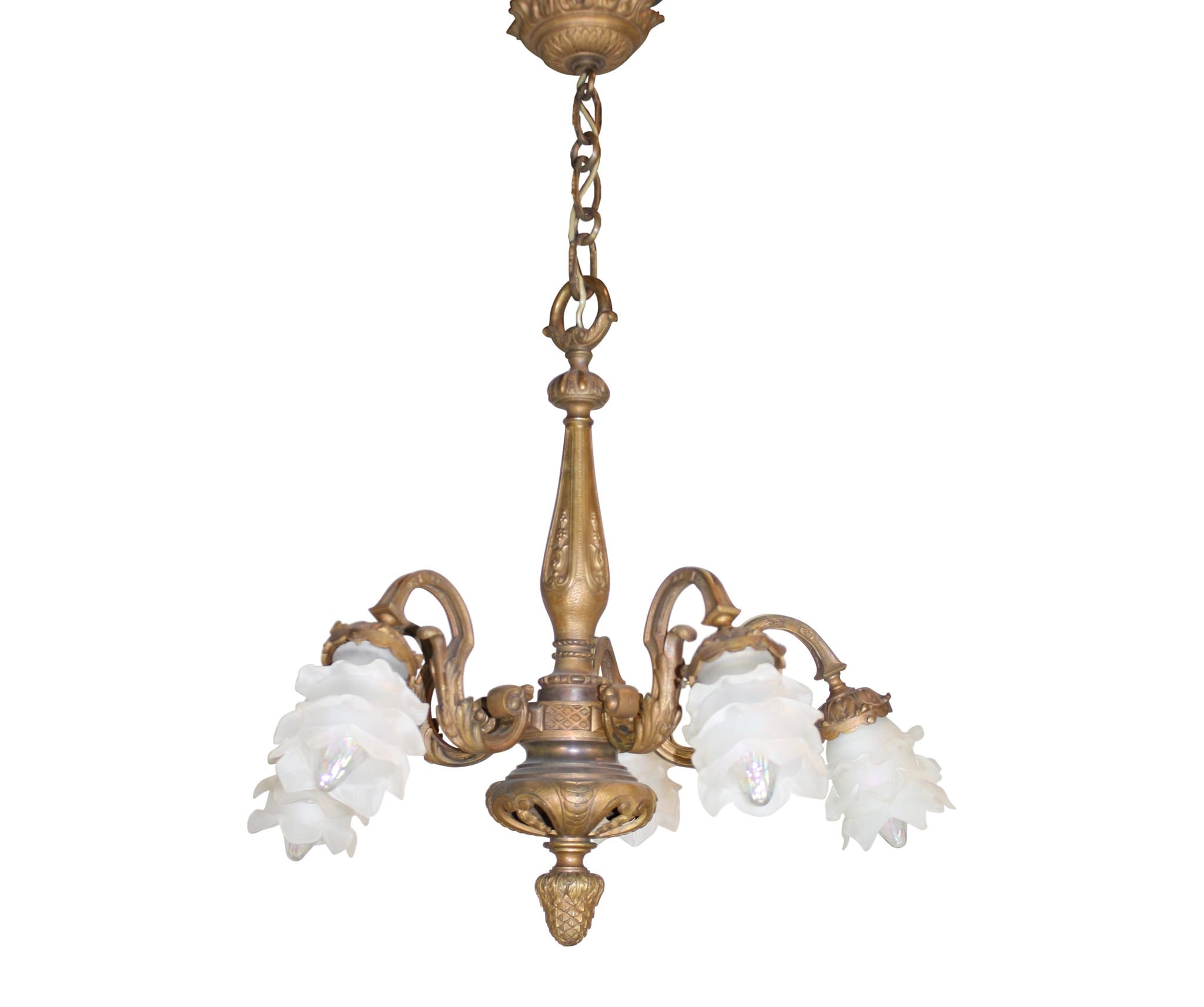 Five Arm Chandelier with Glass Shades