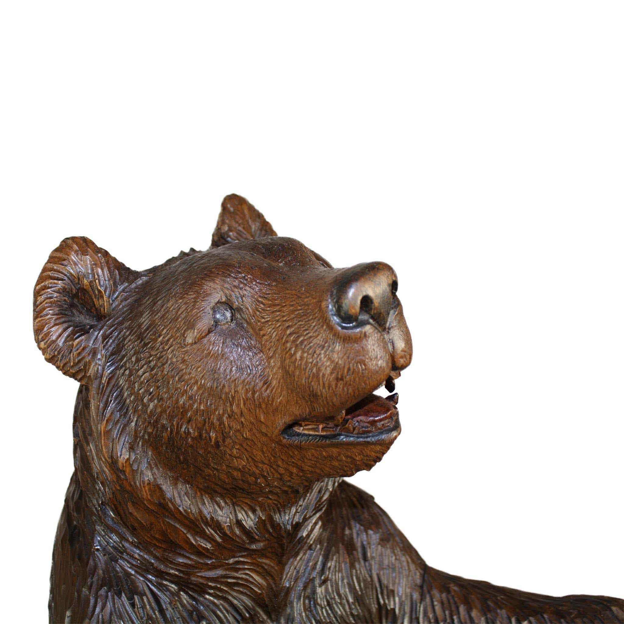 Black Forest Carved Bear
