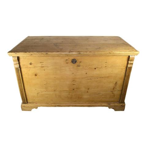 Pine Trunk