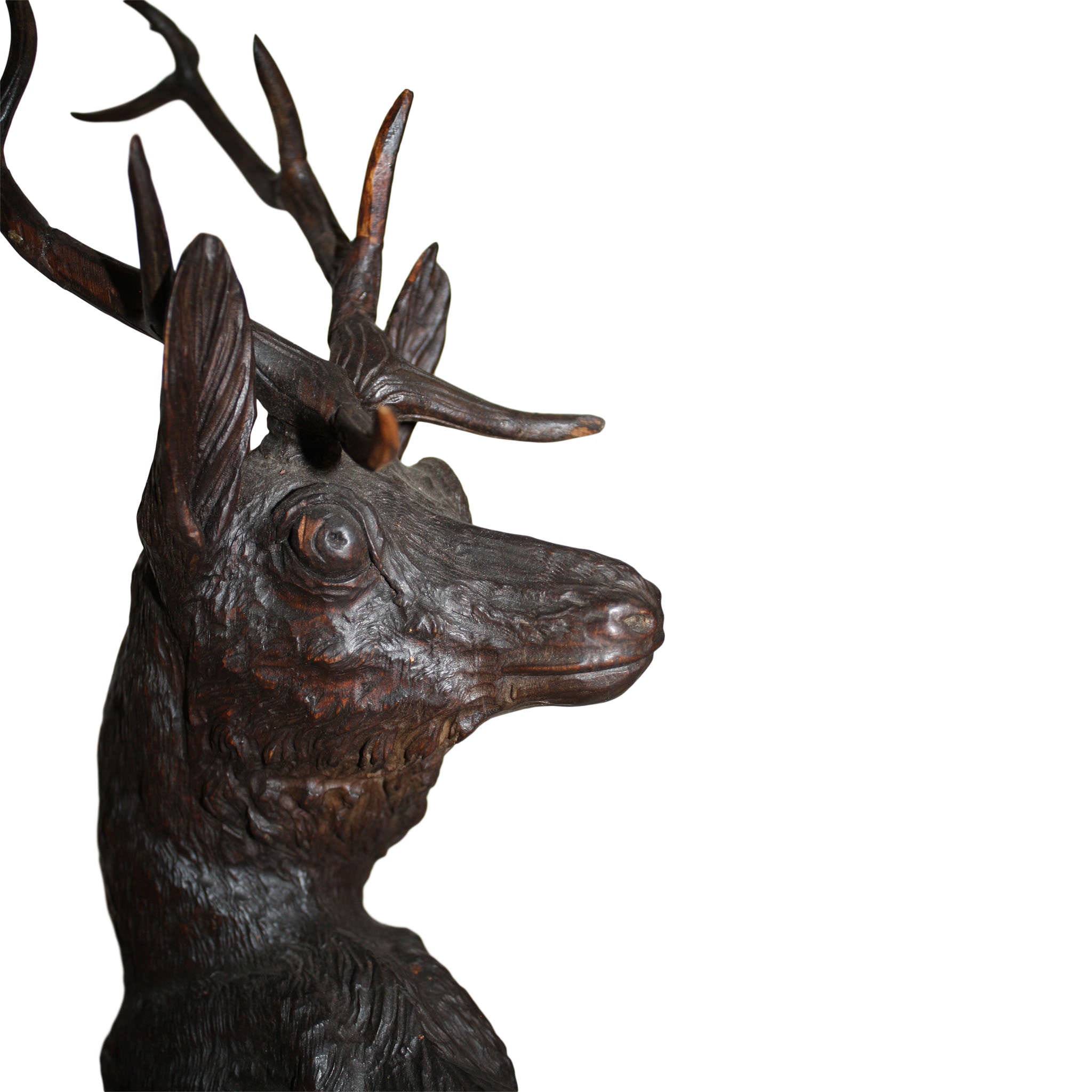 Red Stag Carving