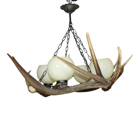 Red Stag Antler Chandelier with Glass Globes