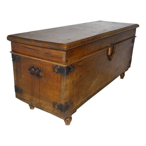 Trunk